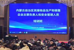 <strong>自治区平易近用爆炸物品出产和发卖企业</strong>