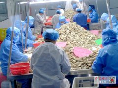 <strong>282项检测全过！郧阳喷鼻菇敲开山姆大门</strong>