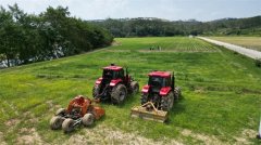 <strong>壮财产筋骨强成长脊梁！南连共建为连平</strong>